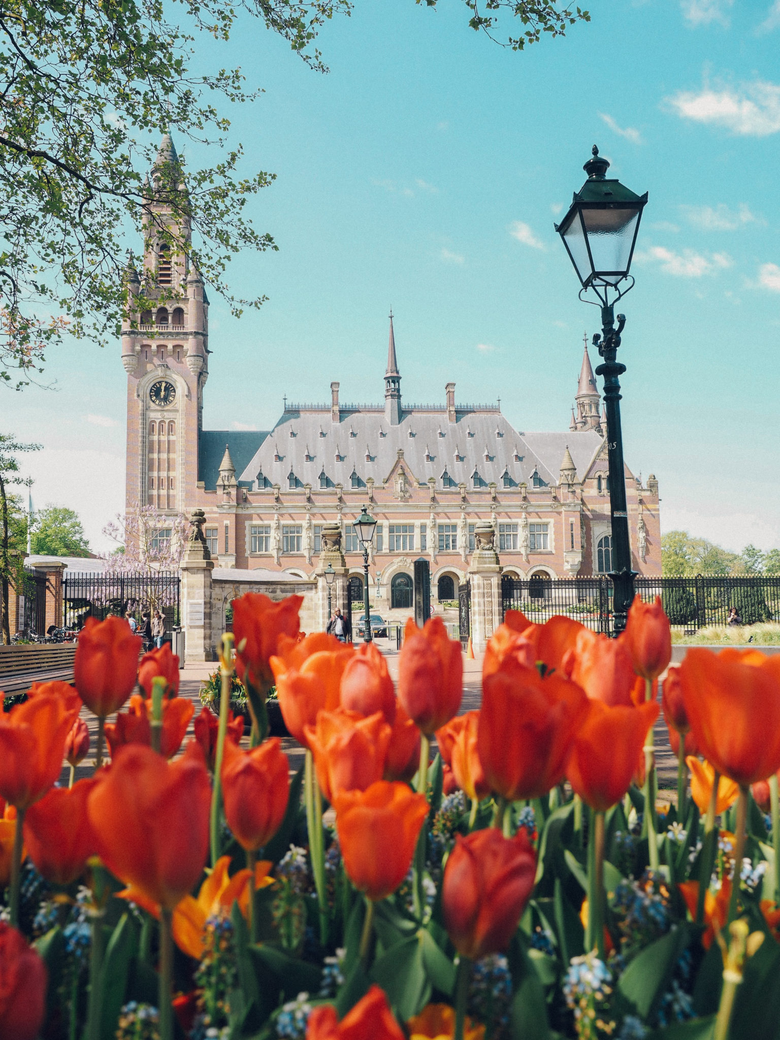 Visiting The Hague in 24 Hours A complete Guide WORLD OF WANDERLUST