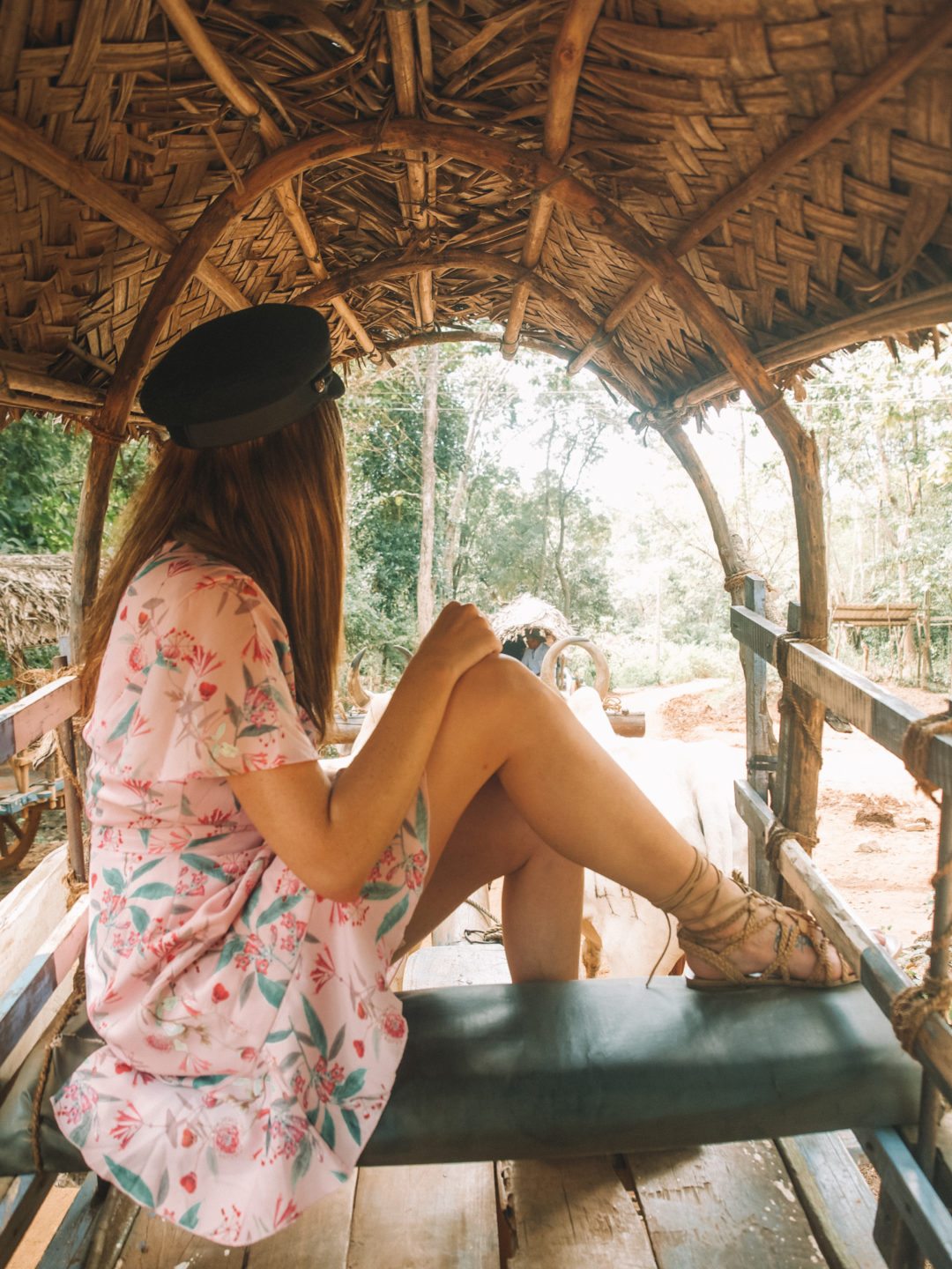 Reasons to Visit Sri Lanka | WORLD OF WANDERLUST