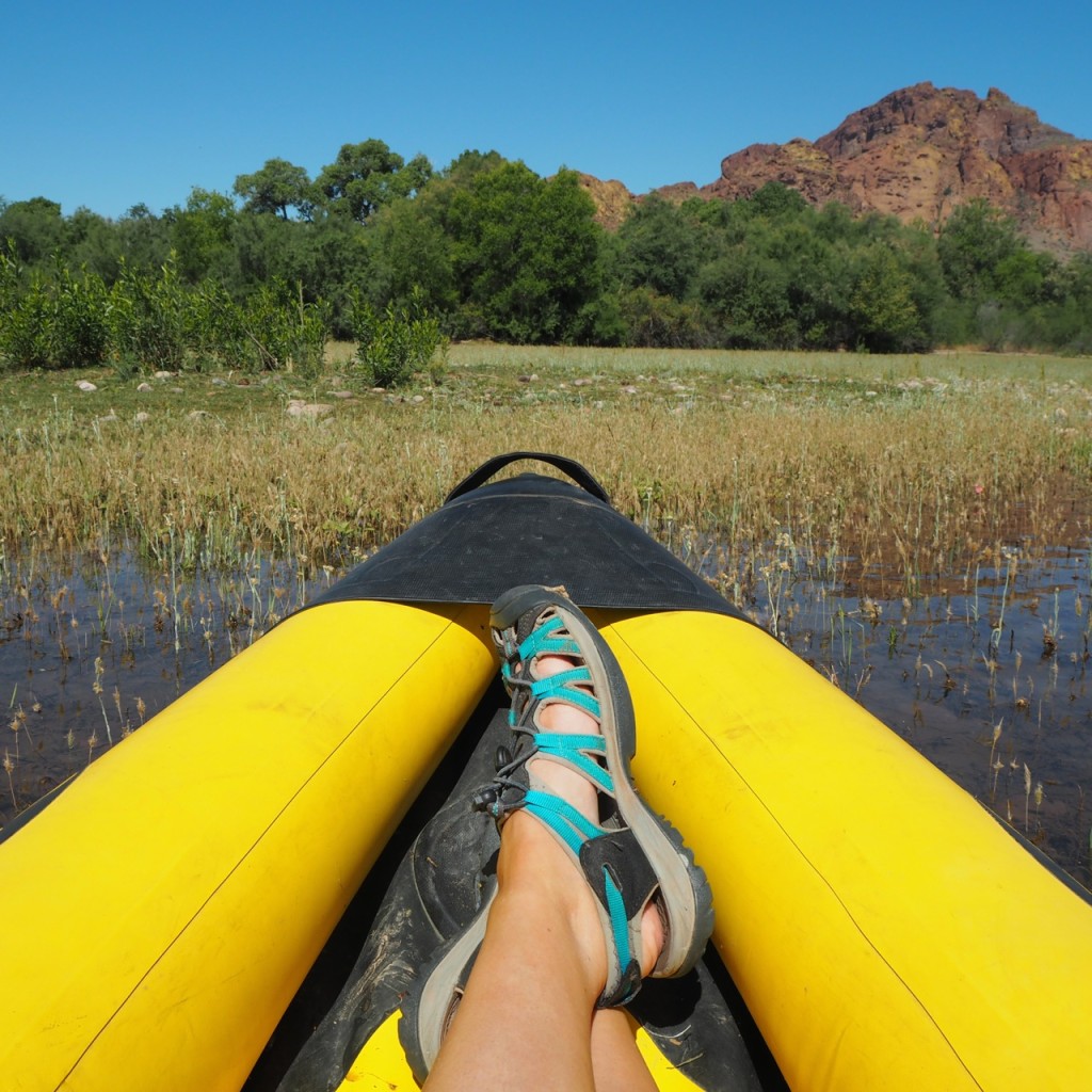 Active Arizona