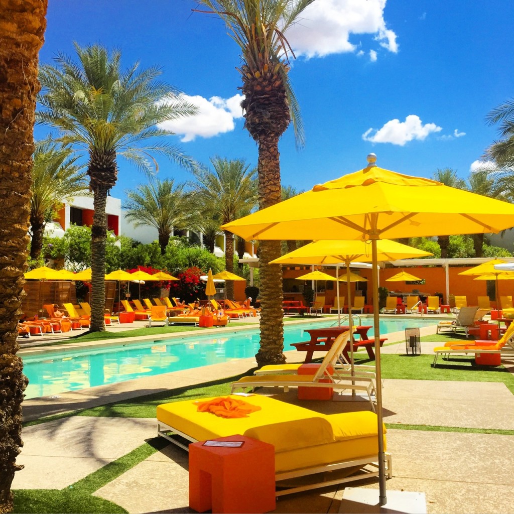 Saguaro Scottsdale