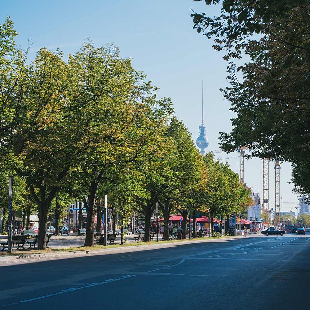 Top Free Things to do in Berlin, Unter den Linden