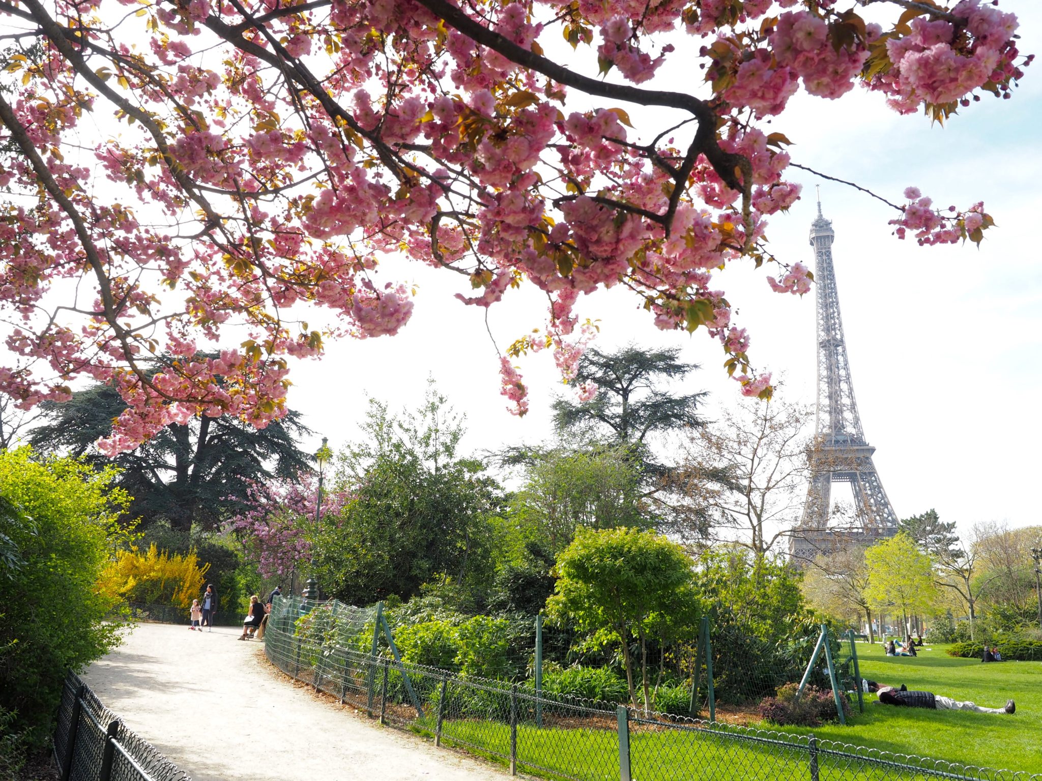 Paris in Spring | World of Wanderlust