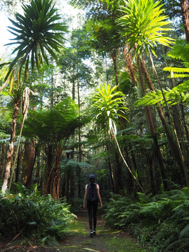 Norfolk_Island_South_Pacific