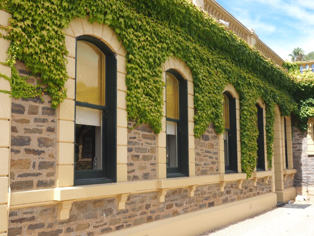 A Guide to visiting the Barossa Valley | World of Wanderlust