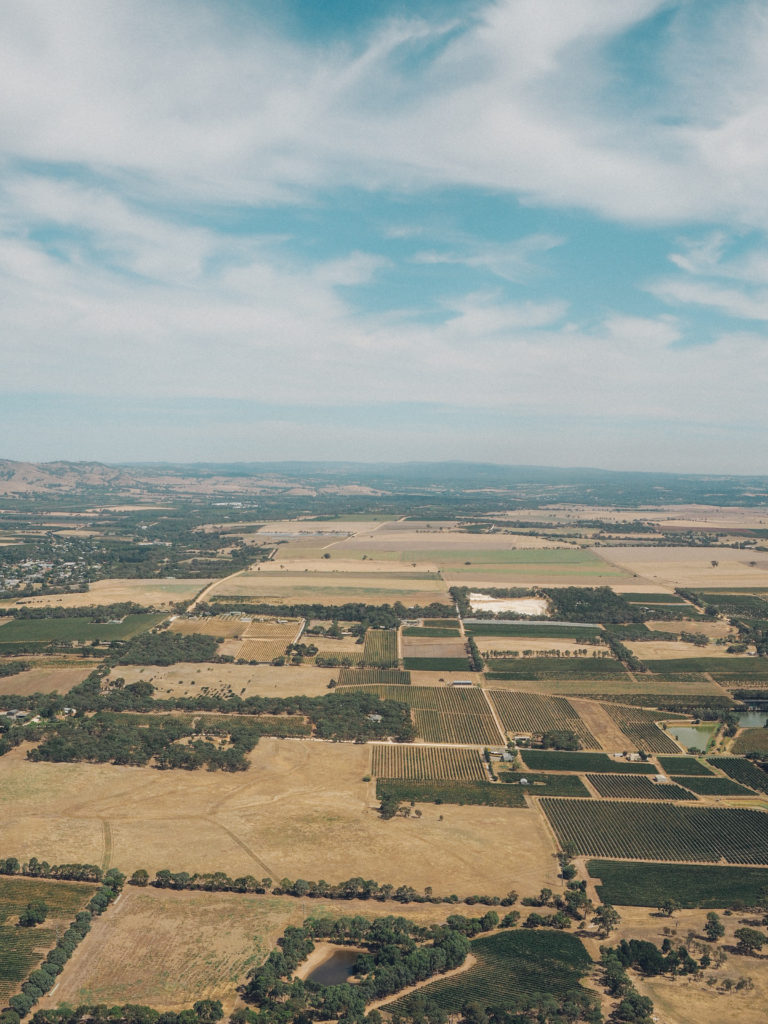 A Guide to visiting the Barossa Valley | World of Wanderlust