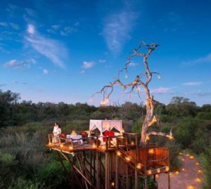 Chalkley-treehouse