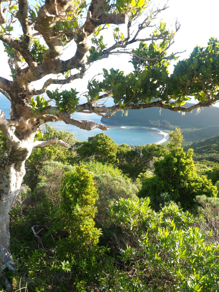 Lord Howe Island Travel Guide | World of Wanderlust