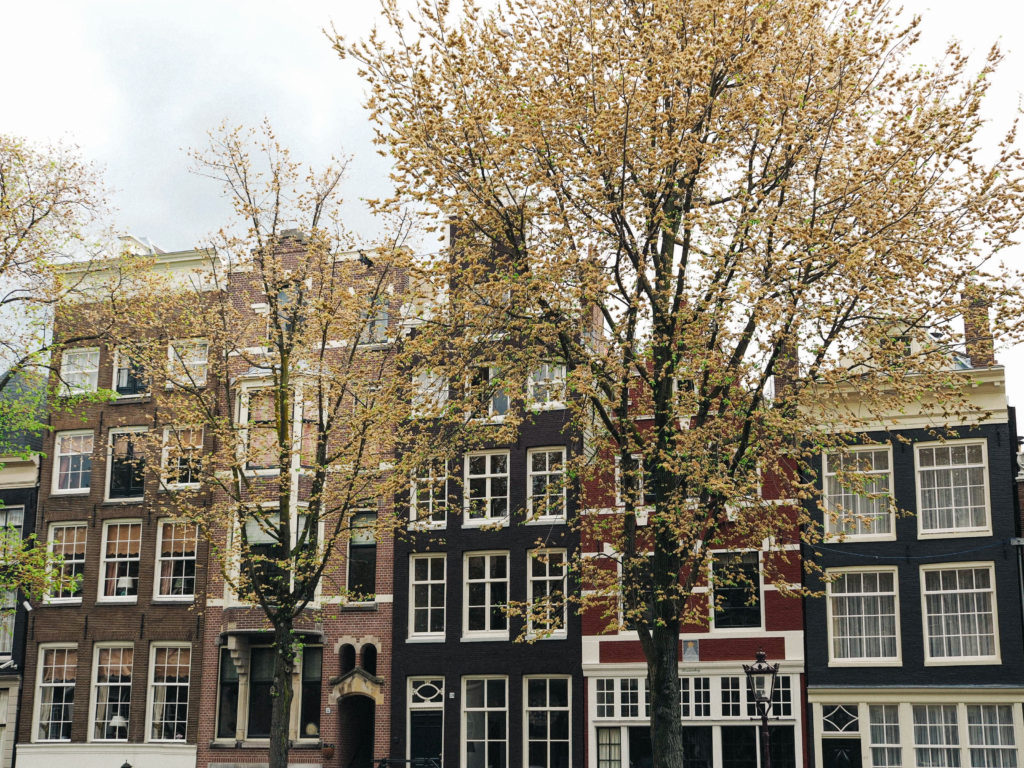 Amsterdam Photo Diary | World of Wanderlust