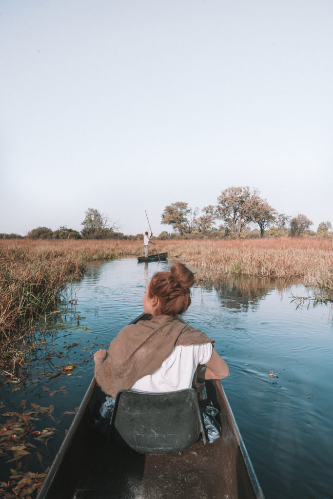 Botswana Sable Alley